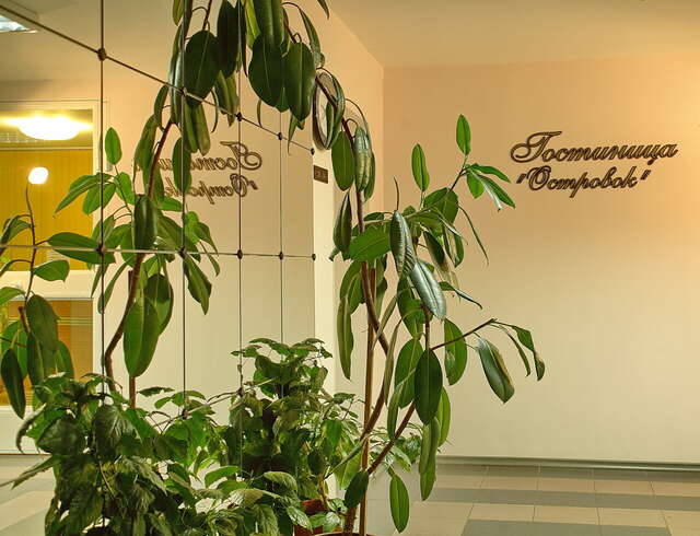 Гостиница Островок Санкт-Петербург-7